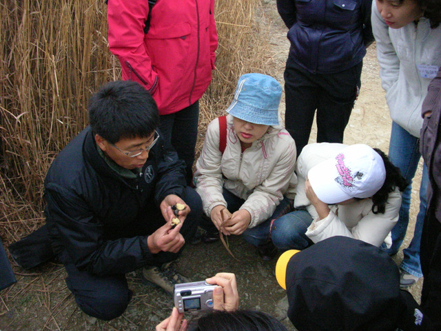 DSCN2761_117902178.jpg